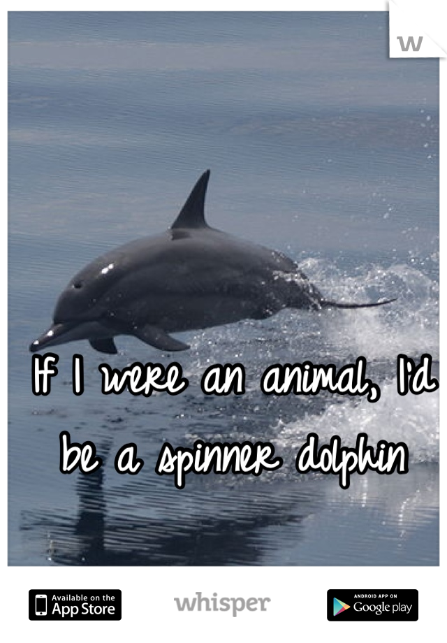 If I were an animal, I'd be a spinner dolphin