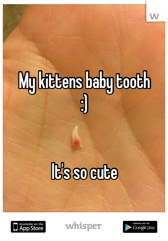 My kittens baby tooth
:)


It's so cute