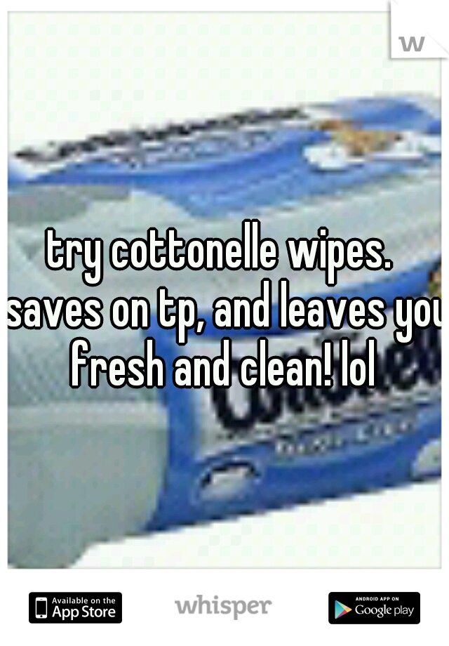 try cottonelle wipes.  saves on tp, and leaves you fresh and clean! lol 