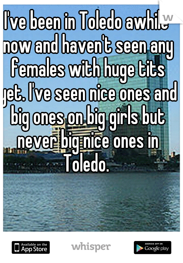 I've been in Toledo awhile now and haven't seen any females with huge tits yet. I've seen nice ones and big ones on big girls but never big nice ones in Toledo. 