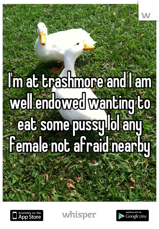 I'm at trashmore and I am well endowed wanting to eat some pussy lol any female not afraid nearby