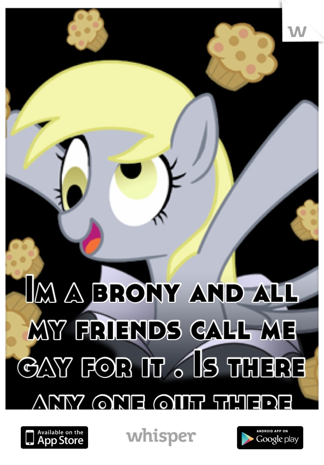 Im a brony and all my friends call me gay for it . Is there any one out there who understands