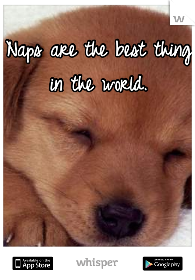 Naps are the best thing in the world.