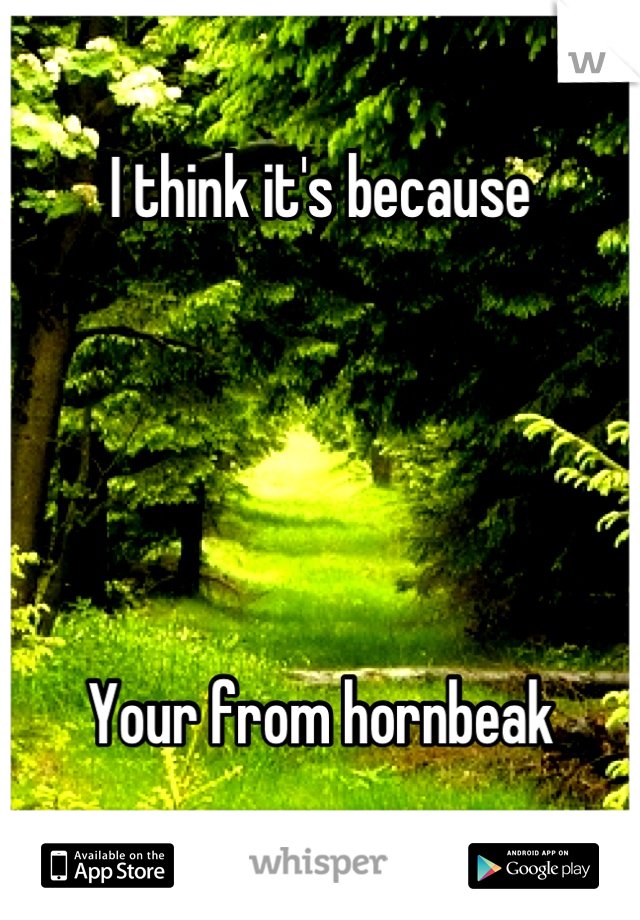 I think it's because 





Your from hornbeak