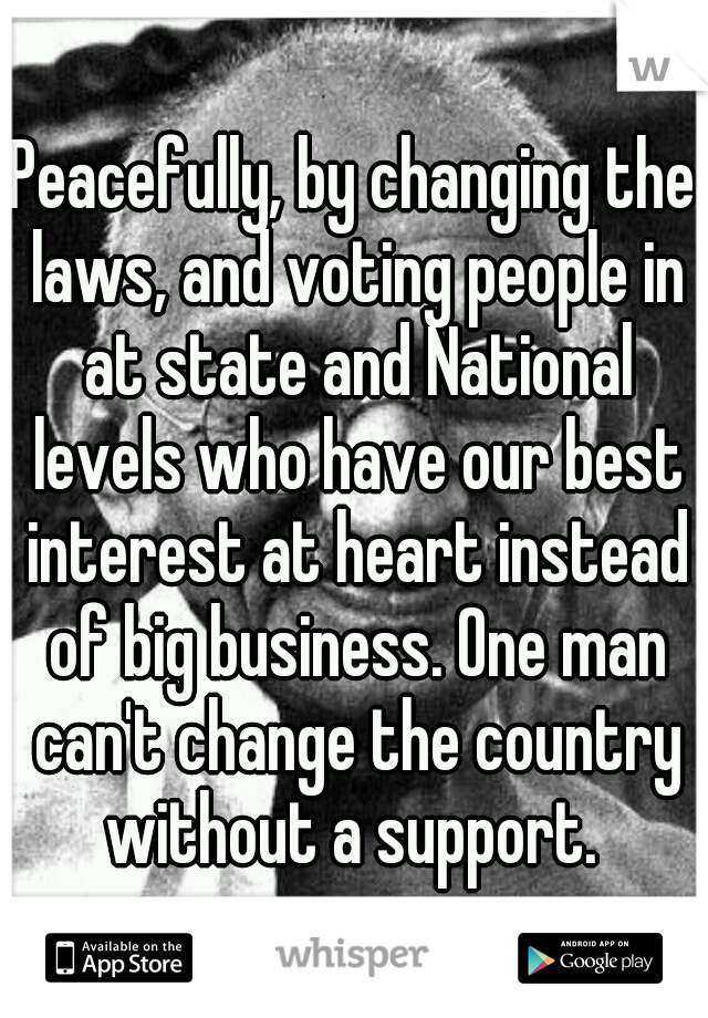 Peacefully, by changing the laws, and voting people in at state and National levels who have our best interest at heart instead of big business. One man can't change the country without a support. 