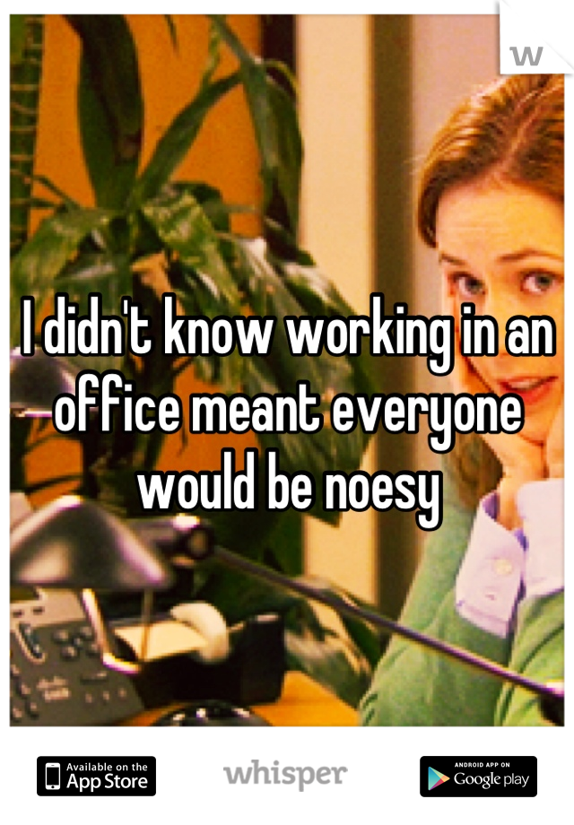 I didn't know working in an office meant everyone would be noesy