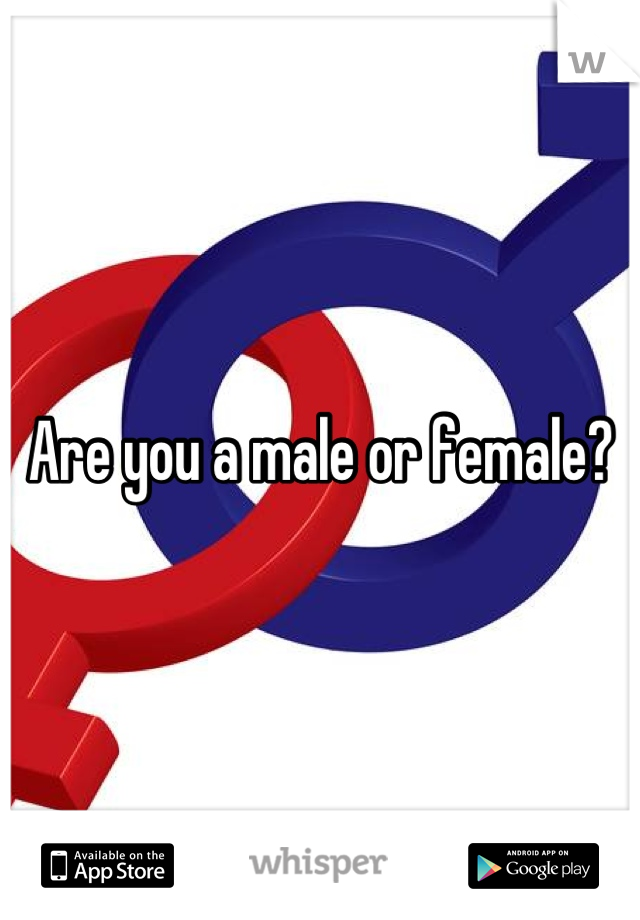 Are you a male or female?