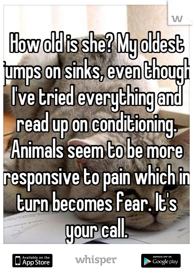 How old is she? My oldest jumps on sinks, even though I've tried everything and read up on conditioning. Animals seem to be more responsive to pain which in turn becomes fear. It's your call.