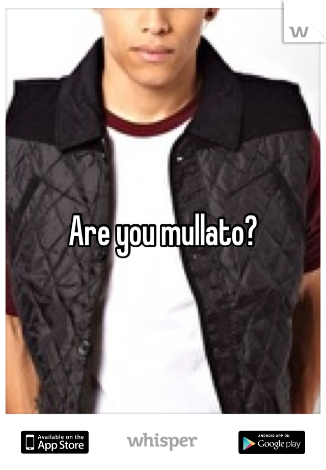 Are you mullato?