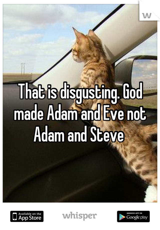 That is disgusting. God made Adam and Eve not Adam and Steve 