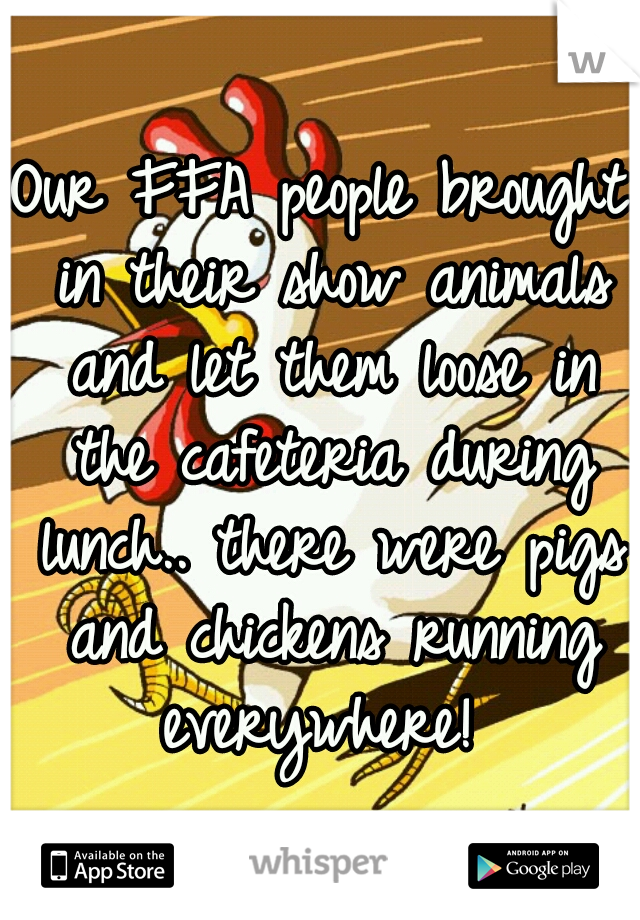 Our FFA people brought in their show animals and let them loose in the cafeteria during lunch.. there were pigs and chickens running everywhere! 