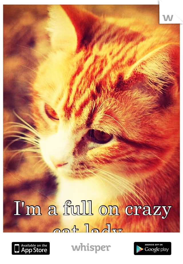 I'm a full on crazy cat lady. 