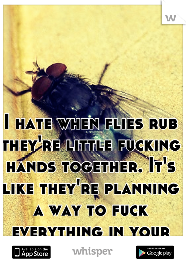 I hate when flies rub they're little fucking hands together. It's like they're planning a way to fuck everything in your life up. 