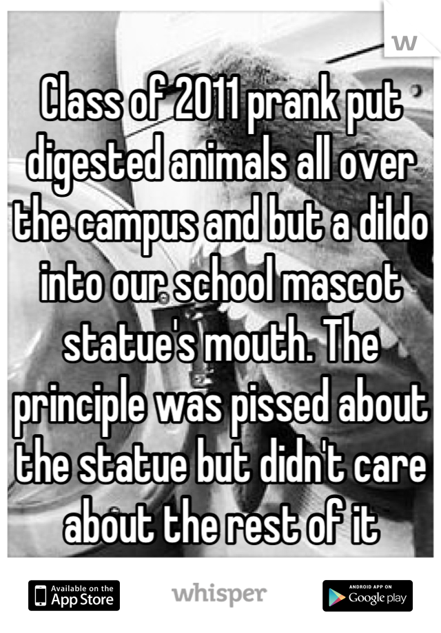 Class of 2011 prank put digested animals all over the campus and but a dildo into our school mascot statue's mouth. The principle was pissed about the statue but didn't care about the rest of it