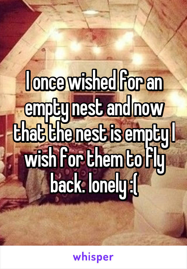 I once wished for an empty nest and now that the nest is empty I wish for them to fly back. lonely :(