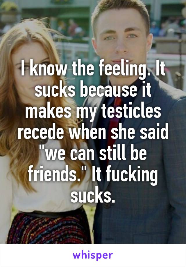 I know the feeling. It sucks because it makes my testicles recede when she said "we can still be friends." It fucking sucks.