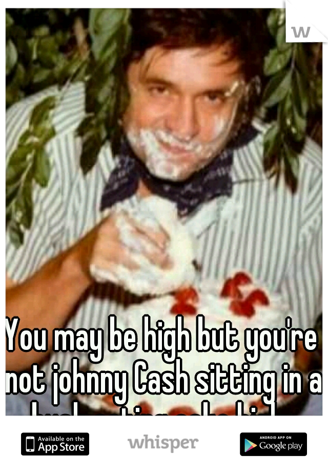 You may be high but you're not johnny Cash sitting in a bush eating cake high. 