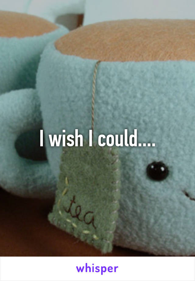 I wish I could....