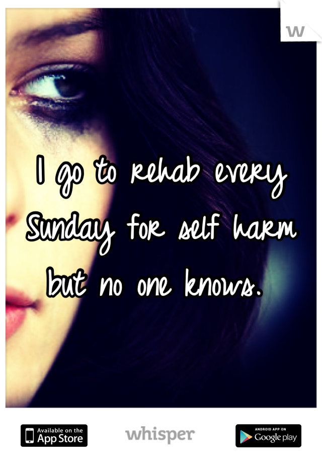 I go to rehab every Sunday for self harm but no one knows. 