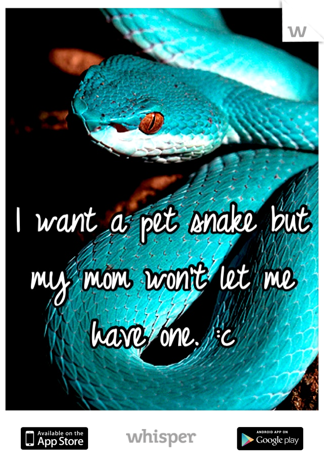 I want a pet snake but my mom won't let me have one. :c