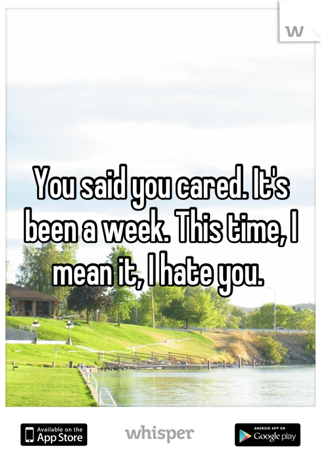 You said you cared. It's been a week. This time, I mean it, I hate you. 