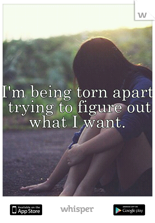 I'm being torn apart trying to figure out what I want. 