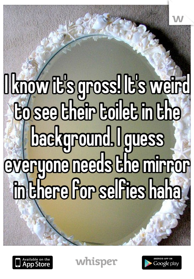 I know it's gross! It's weird to see their toilet in the background. I guess everyone needs the mirror in there for selfies haha