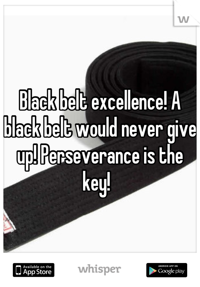 Black belt excellence! A black belt would never give up! Perseverance is the key!  