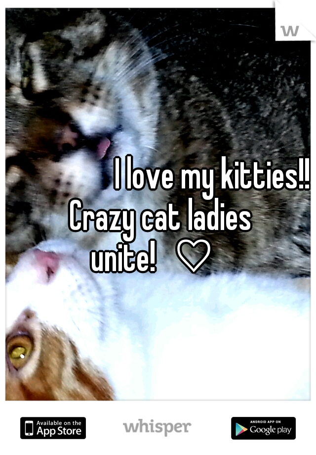 






I love my kitties!! Crazy cat ladies unite!
♡
