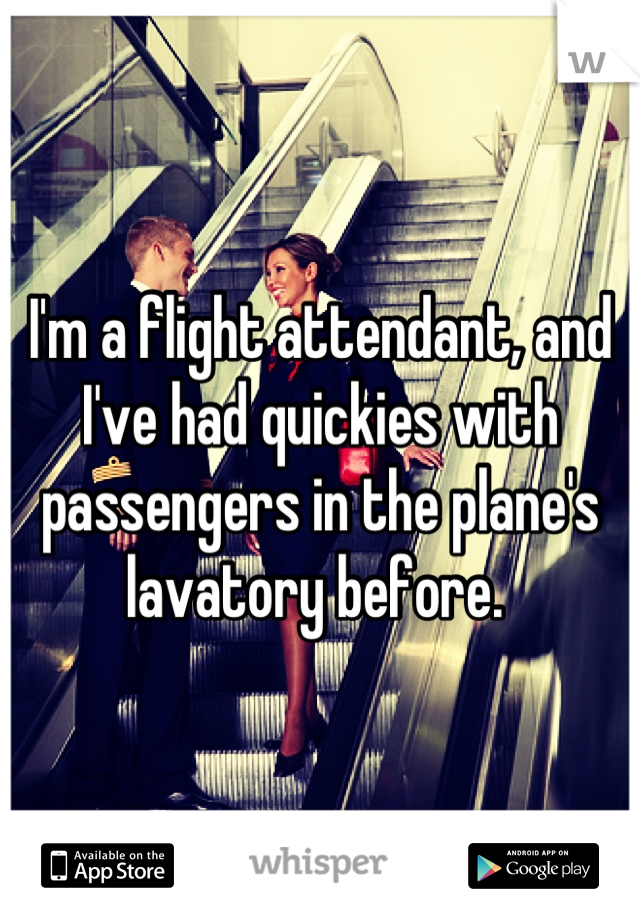 I'm a flight attendant, and I've had quickies with passengers in the plane's lavatory before. 