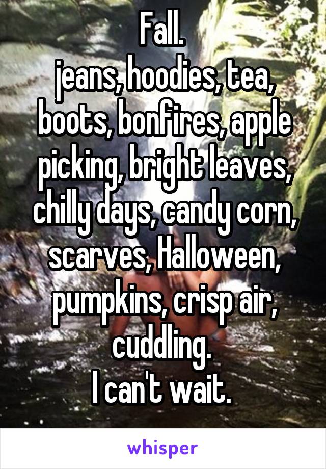 Fall. 
jeans, hoodies, tea, boots, bonfires, apple picking, bright leaves, chilly days, candy corn, scarves, Halloween, pumpkins, crisp air, cuddling. 
I can't wait. 
