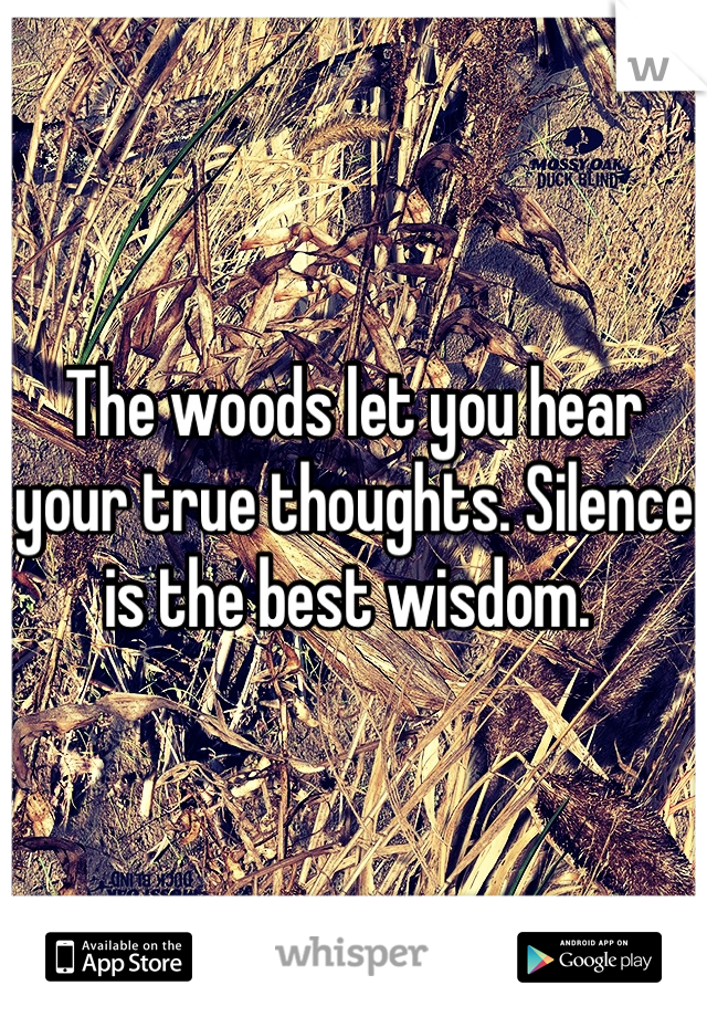 The woods let you hear your true thoughts. Silence is the best wisdom. 