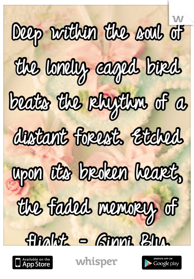 Deep within the soul of the lonely caged bird beats the rhythm of a distant forest. Etched upon its broken heart, the faded memory of flight. - Ginni Bly