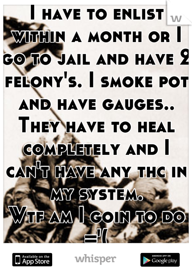 I have to enlist within a month or I go to jail and have 2 felony's. I smoke pot and have gauges.. They have to heal completely and I can't have any thc in my system.
Wtf am I goin to do ='(
Life sucks