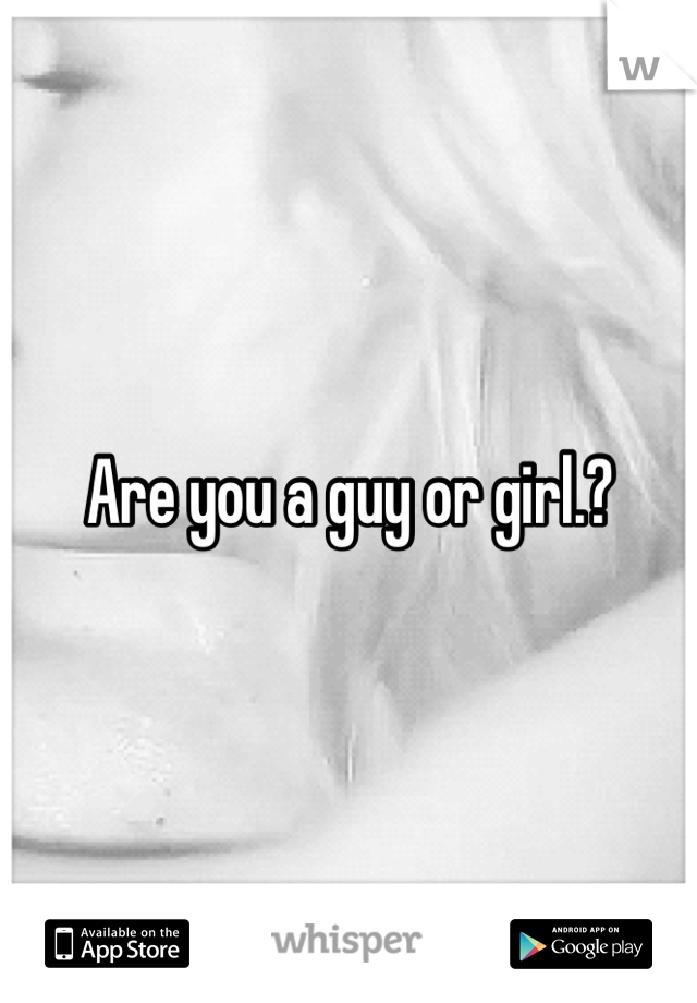Are you a guy or girl.?
