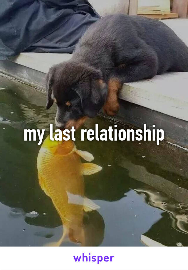 my last relationship