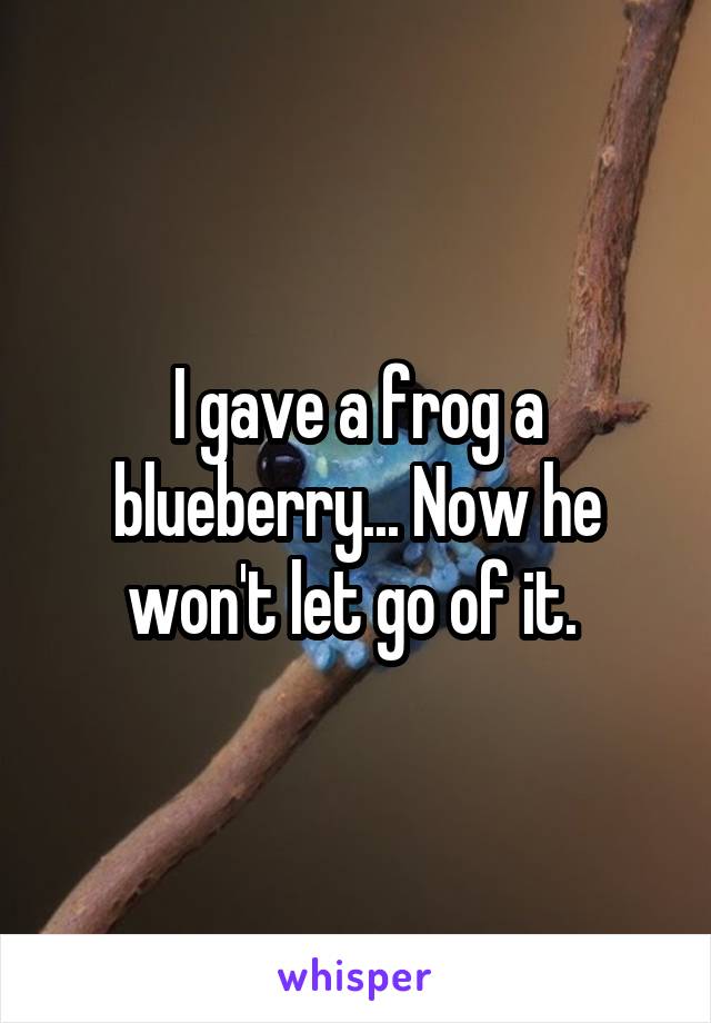 I gave a frog a blueberry... Now he won't let go of it. 