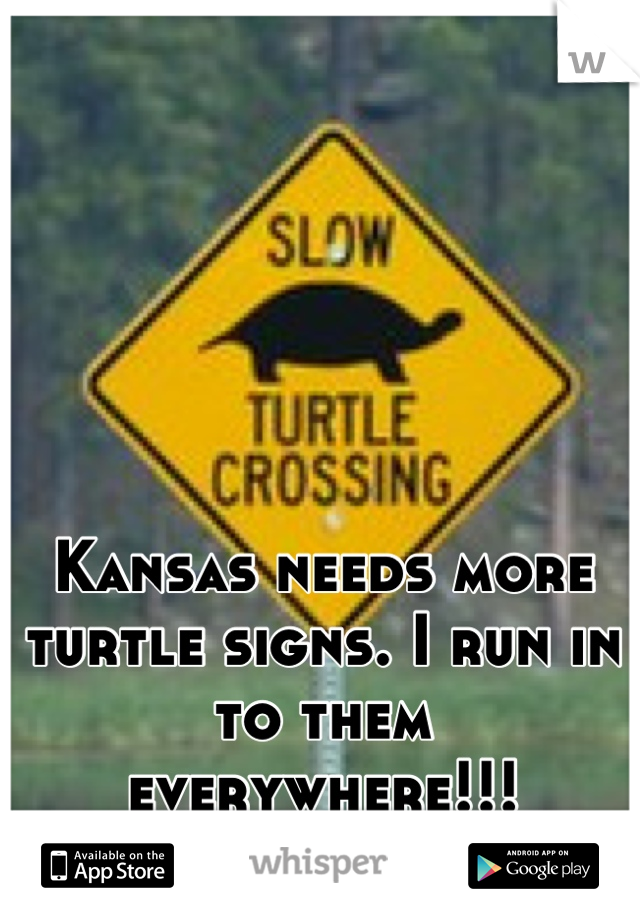 Kansas needs more turtle signs. I run in to them everywhere!!!