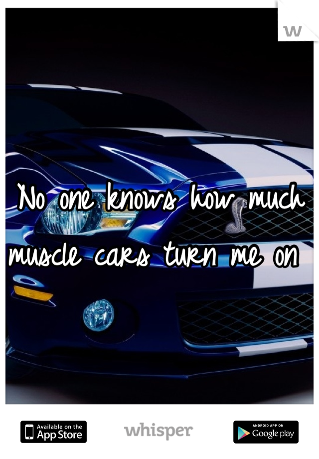 No one knows how much muscle cars turn me on 