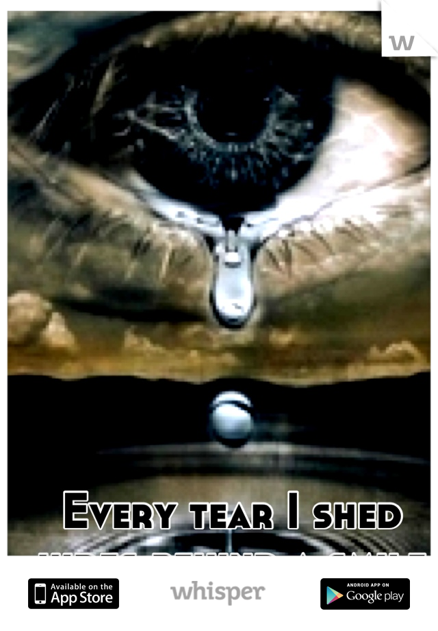 Every tear I shed hides behind a smile