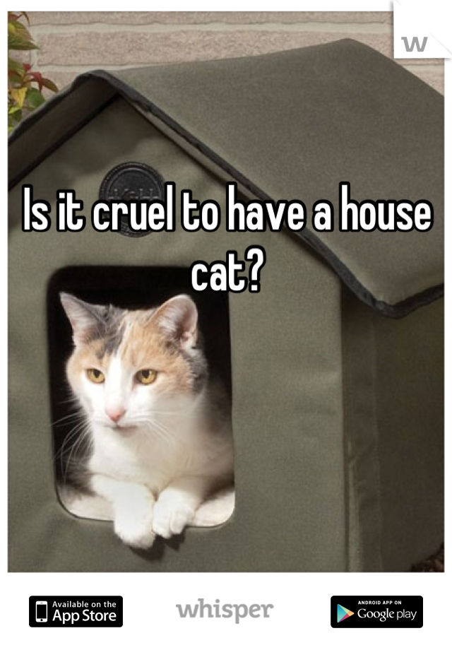 Is it cruel to have a house cat?