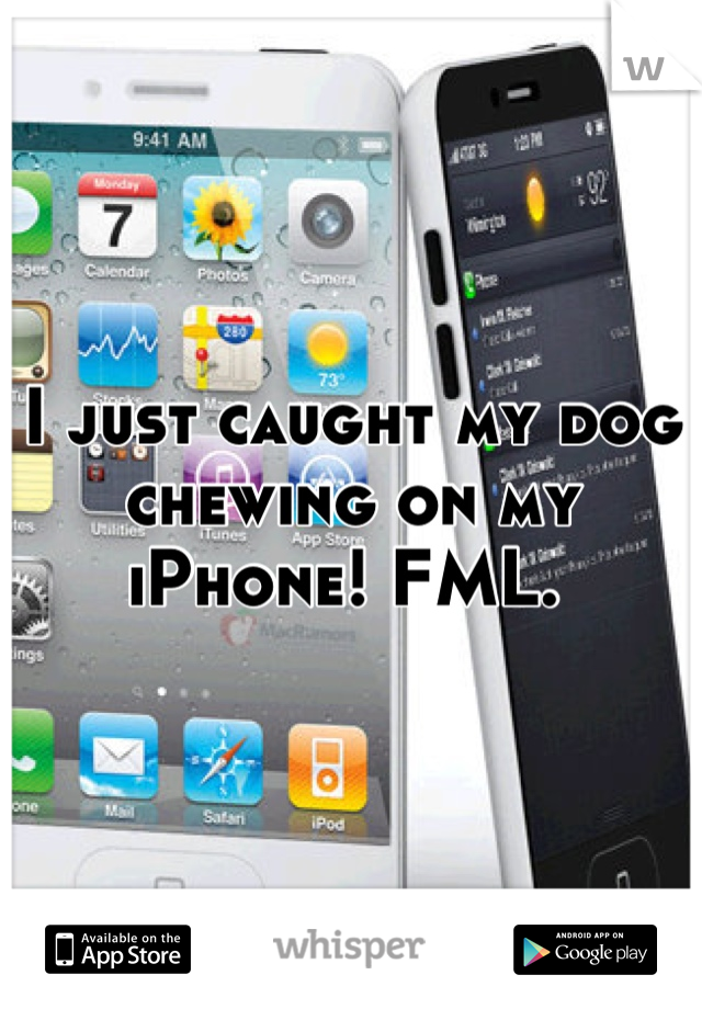 I just caught my dog chewing on my iPhone! FML. 