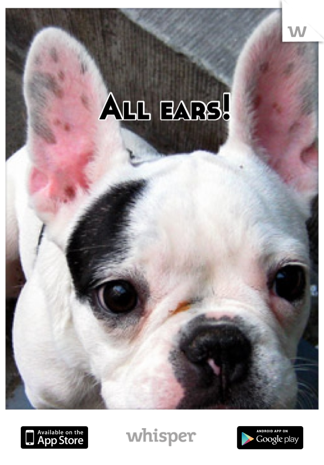 All ears!
