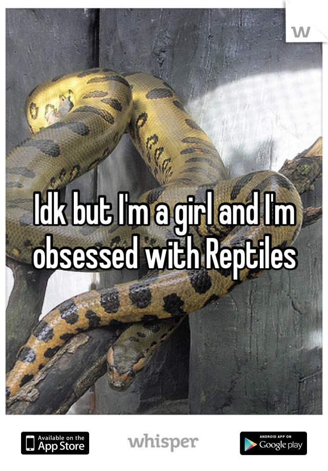 Idk but I'm a girl and I'm obsessed with Reptiles