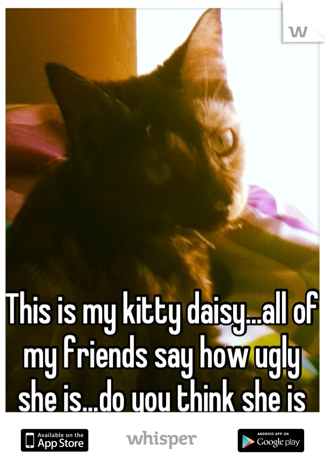 This is my kitty daisy...all of my friends say how ugly she is...do you think she is ugly?