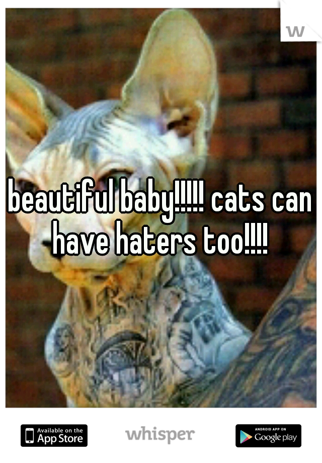 beautiful baby!!!!! cats can have haters too!!!! 