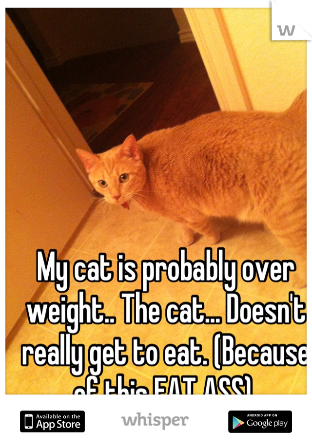 My cat is probably over weight.. The cat... Doesn't really get to eat. (Because of this FAT ASS) 