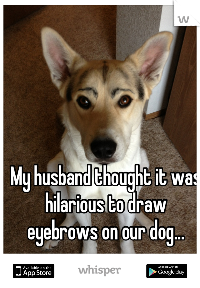 My husband thought it was hilarious to draw eyebrows on our dog...
