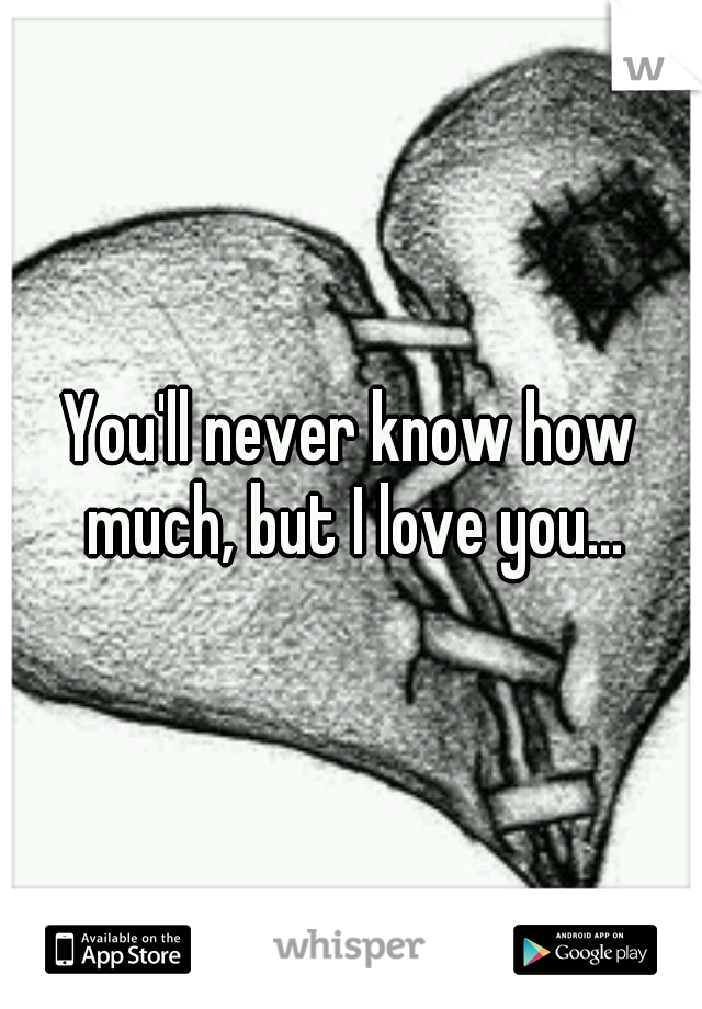You'll never know how much, but I love you...