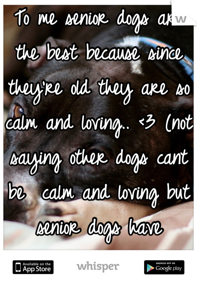 To me senior dogs are the best because since they're old they are so calm and loving.. <3 (not saying other dogs cant be  calm and loving but senior dogs have something special)